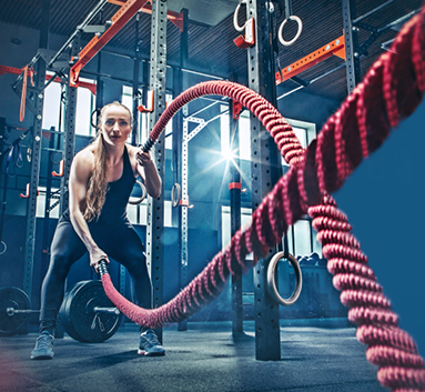 Sport and Fitness